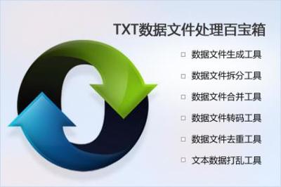 TXT文本數據處理百寶箱 高效工具助力數據管理